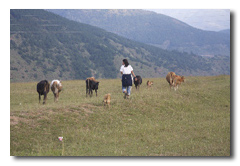 Bhutan